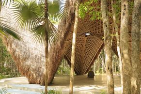 Na jógu do džungle. V mexickém pralese vzniklo meditační centrum z bambusu