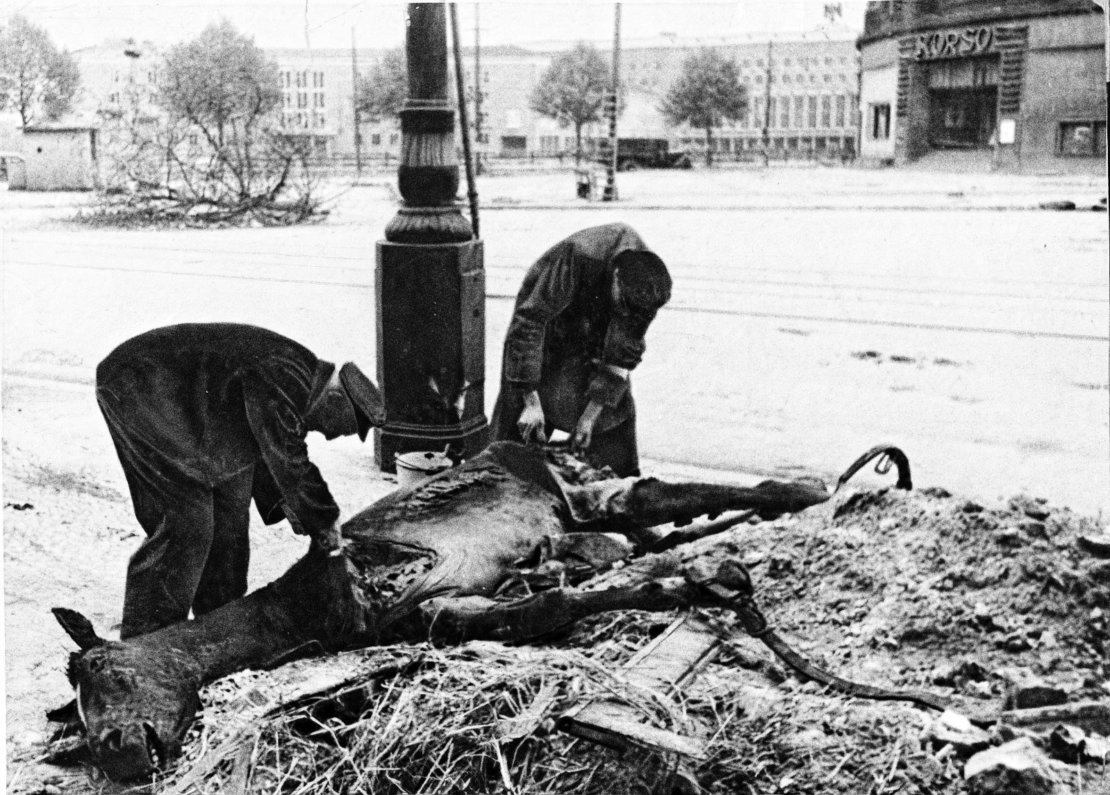 Jednorázové užití / Fotogalerie Bitva o Berlín 1945 / Bundesarchive