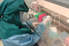 Čeští vědci slaví velký úspěch, jako první na světě našli základ léku proti viru zika