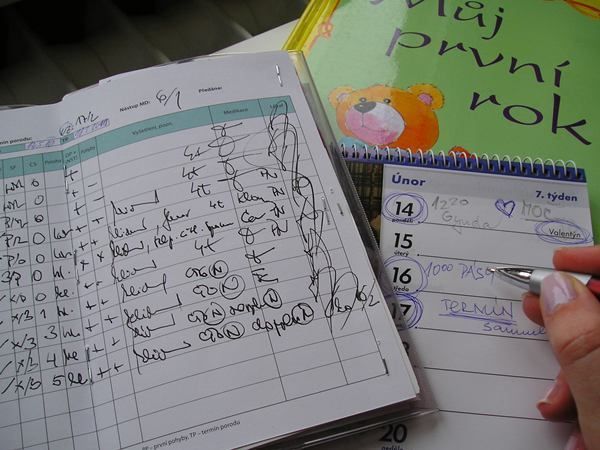 Week of Life - Žaneta Malá 6