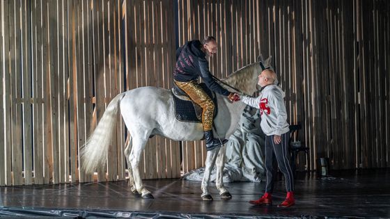 Inscenaci vídeňského Volkstheateru uvedlo pražské Stavovské divadlo.