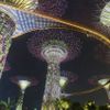 Obrazem: V Singapuru postavili pozoruhodné zahrady - ČTK