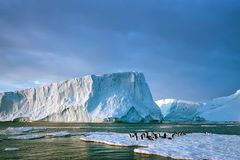 Vědci objevili pod ledem v Antarktidě nový mořský ekosystém