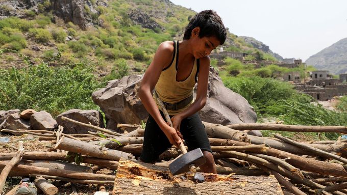 Foto: Stromy vyvracejí krumpáčem i s kořeny. Jemenu ubývá zeleň, lidé se bojí pouště