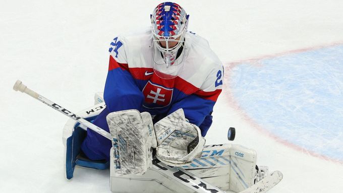 Patrik Rybár chytal loni za Slovensko na olympiádě, na letošním MS ovšem reprezentovat nebude