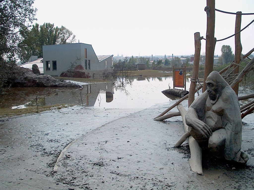 Foto: Připomeňte si, jak vypadala pražská ZOO během povodní v roce 2002