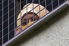 Afghánská rodina je v detenčním táboře v Bělé držena nezákonně, rozhodl soud