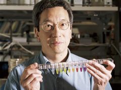 Roger Tsien přišel na to, jak změnit barvy bílkoviny z medúzy. Získal Nobelovu cenu za chemii v roce 2008.