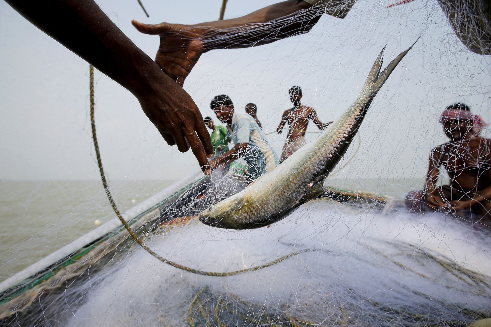 Fotogalerie / Mizející ostrov v Indii / Reuters