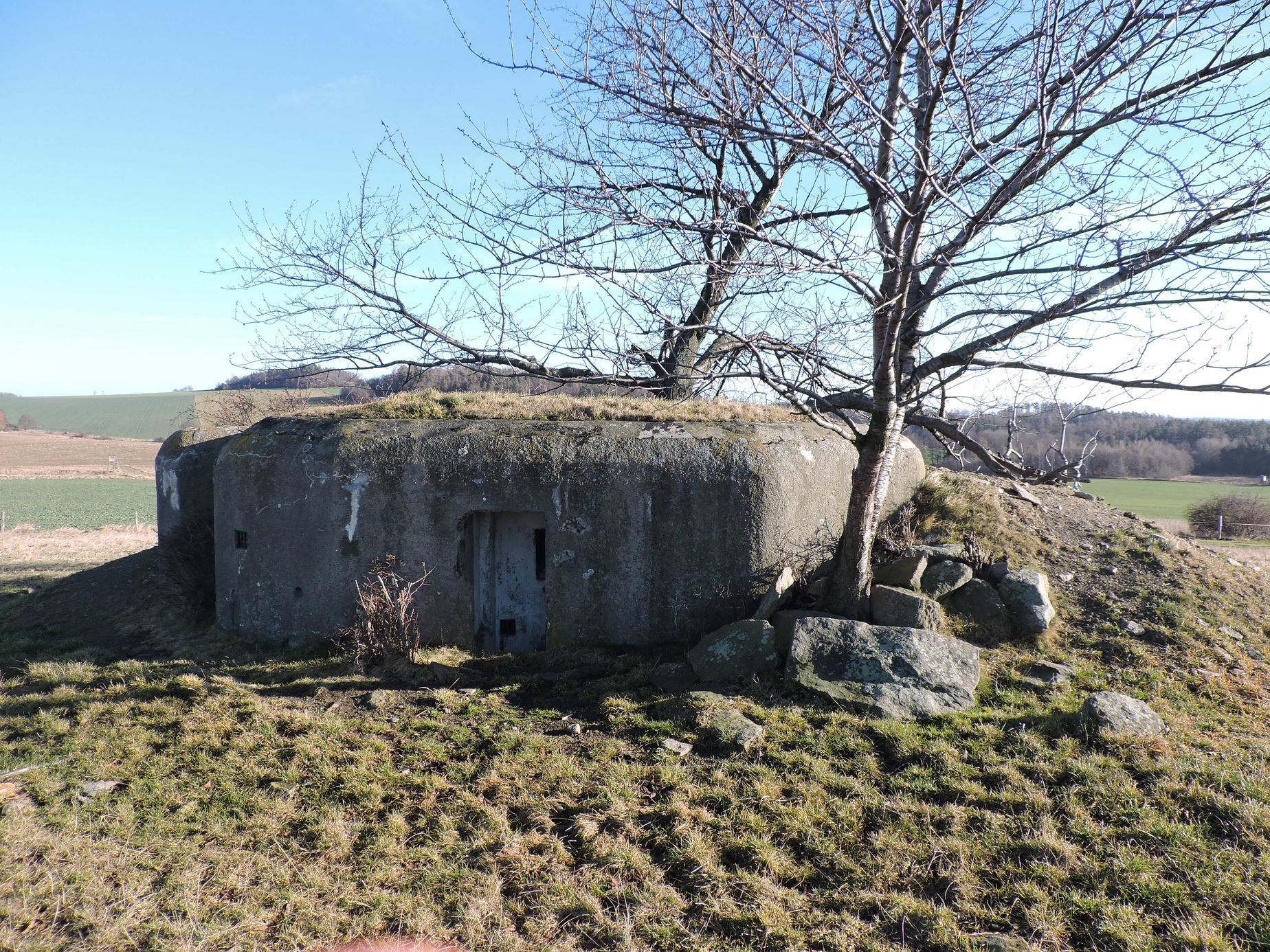 Řopíky