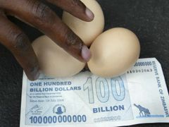 Vyhnání bílých farmářů ze Zimbabwe vedlo k rozpadu zemědělství a hyperinflaci (ilustrační foto).