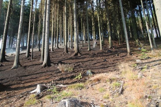 Požáry lesního porostu na Náchodsku a Rychnovsku
