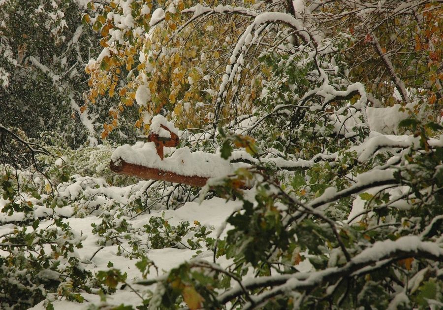 Jablonec vyhlásil kalamitu