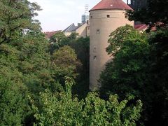 Výstava se koná ve věži Mihulka na Pražském hradě.
