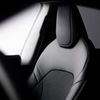 Tesla Model Y Standard