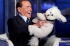 Modelky vyměnil za zvířátka a chce zpět k moci. Italové jdou k volbám a Berlusconi sahá po vítězství