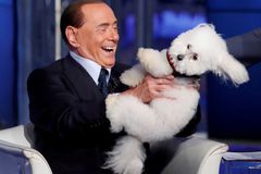 Modelky vyměnil za zvířátka a chce zpět k moci. Italové jdou k volbám a Berlusconi sahá po vítězství