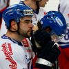 Česko vs. Švédsko, hokejový Channel One Cup (Roman Polák)