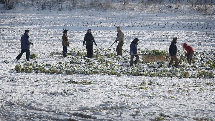 V minus třiceti bez topení. V KLDR uprostřed potravinové krize udeřily extrémní mrazy; Zdroj foto: ČTK