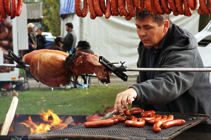 Velká pardubická 2011