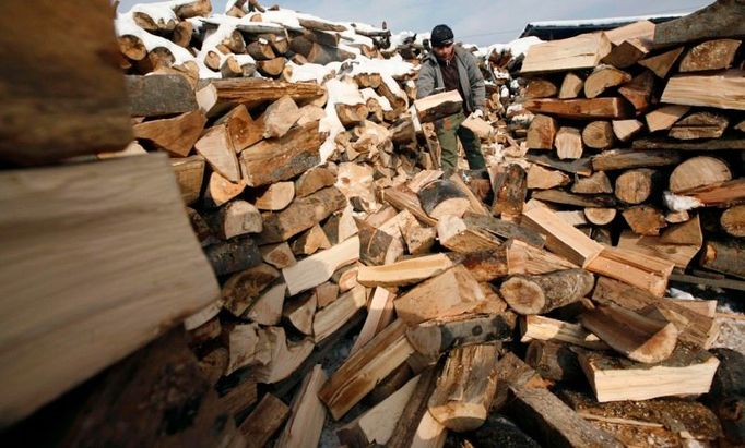 V Bulharsku už kvůli odstávce ruského plynu mnoho vesnic mrzlo. Snímek zachycuje obyvatele předměstí Sofie, který si narychlo opatřuje dříví.