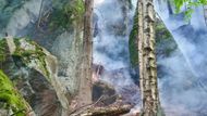 Hasiči požár Broumovsko les