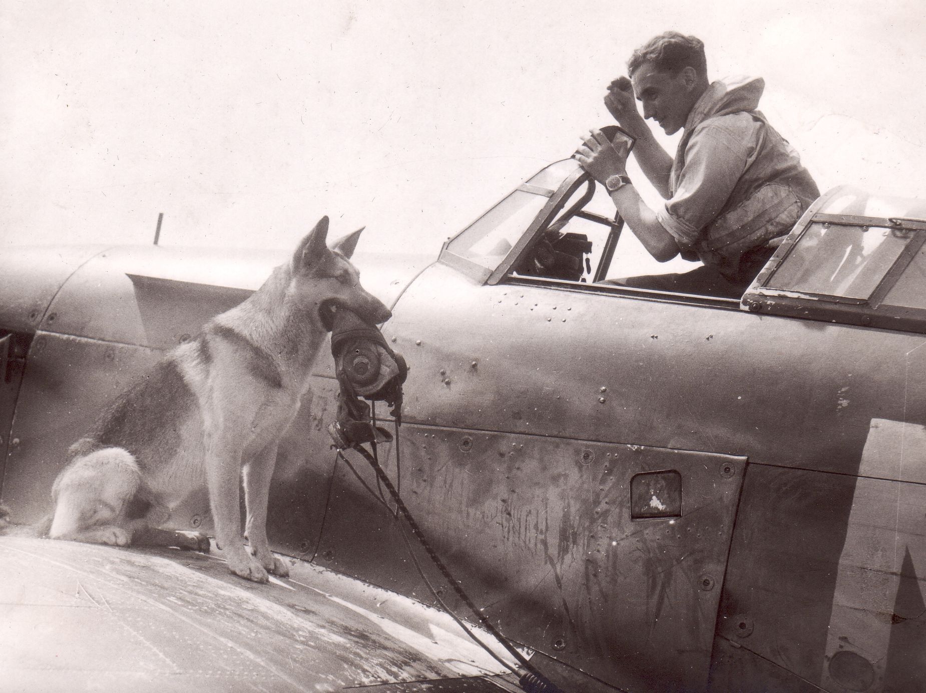 Pilot Bohuslav Kimlička s maskotem Drakem (Martlesham Heath, 1941)