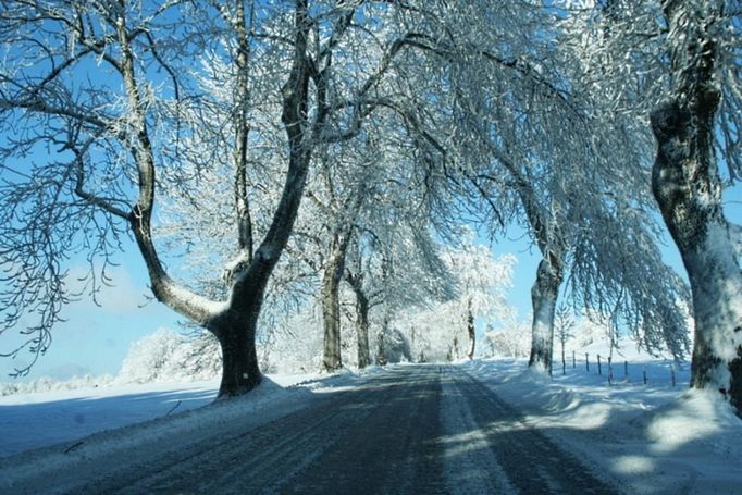 Jasanová alej pod Rokytnem (Rokytno - Maršovice, Kraj Vysočina). Jasanová alej pod Rokytnem vypadá na jaře, v létě a na podzim úplně stejně, jako jiné aleje. Její kouzlo ale pozná každý, kdo jí projíždí, především v zimě. Námraza jí přičaruje téměř pohádkové vzezření. Stromy se stříbřitě třpytí a celá alej vypadá jako vstupní brána do království paní Zimy.