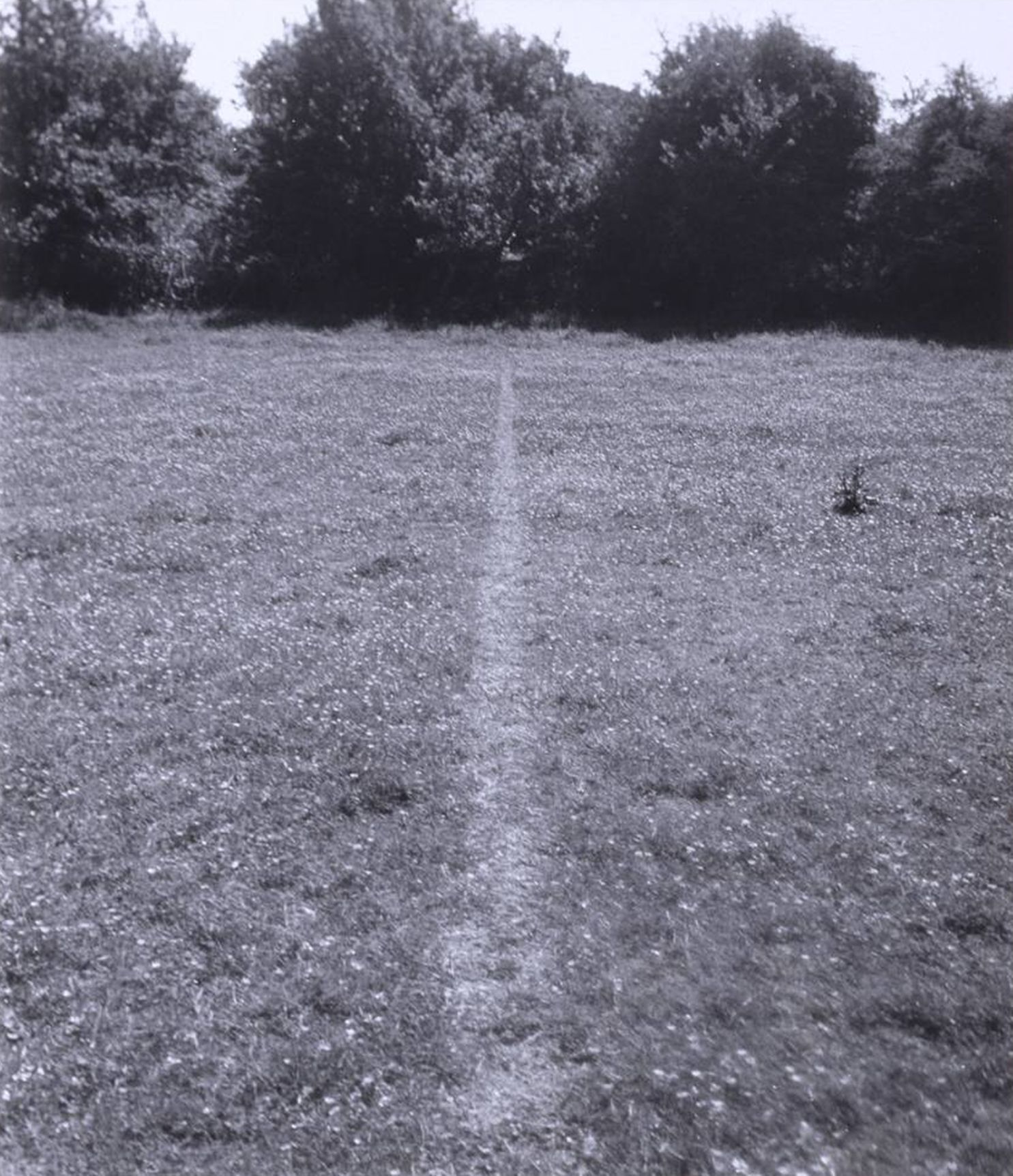 Richard Long: A Line Made by Walking, 1967