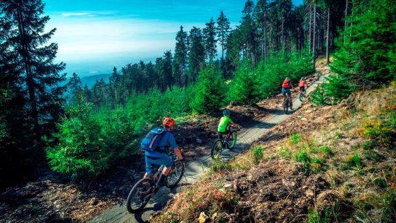 Sjezd trailové trasy