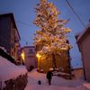Sníh, vánoční stromek, Itálie, region Abruzzo, Rovere.