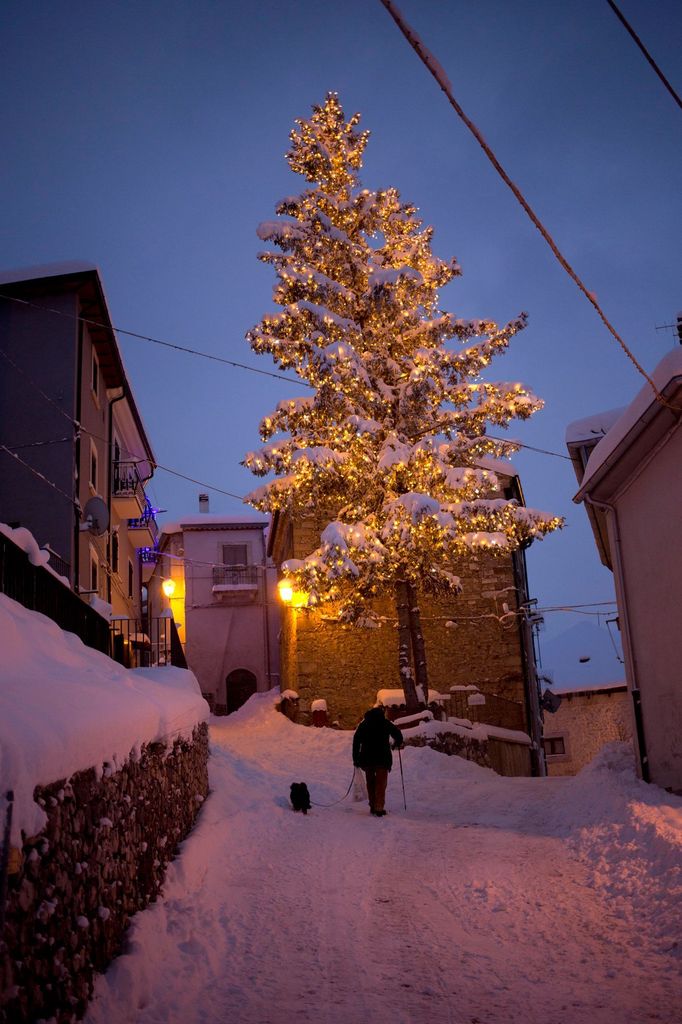 Sníh, vánoční stromek, Itálie, region Abruzzo, Rovere.