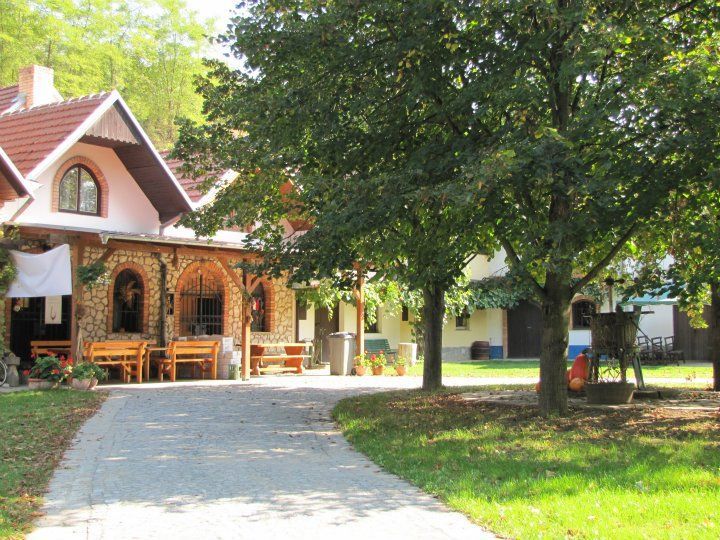 NEPOUŽÍVATvČLÁNCÍCH!!! Dokumentujeme - Tropy 2012 - Kateřina Jabůrková
