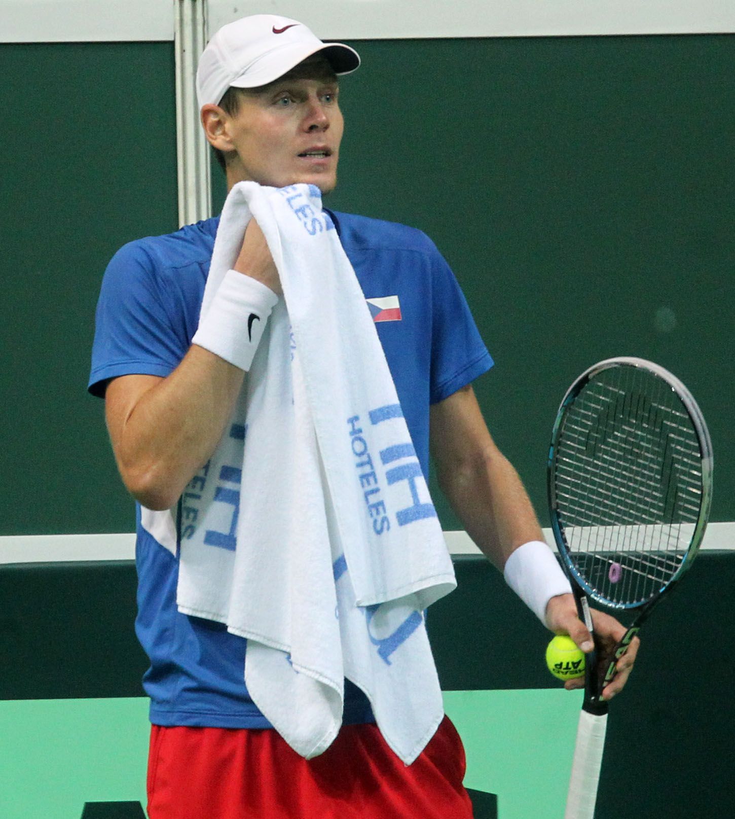 Finále Davis Cupu . Tomáš Berdych a Nicolas Almagro