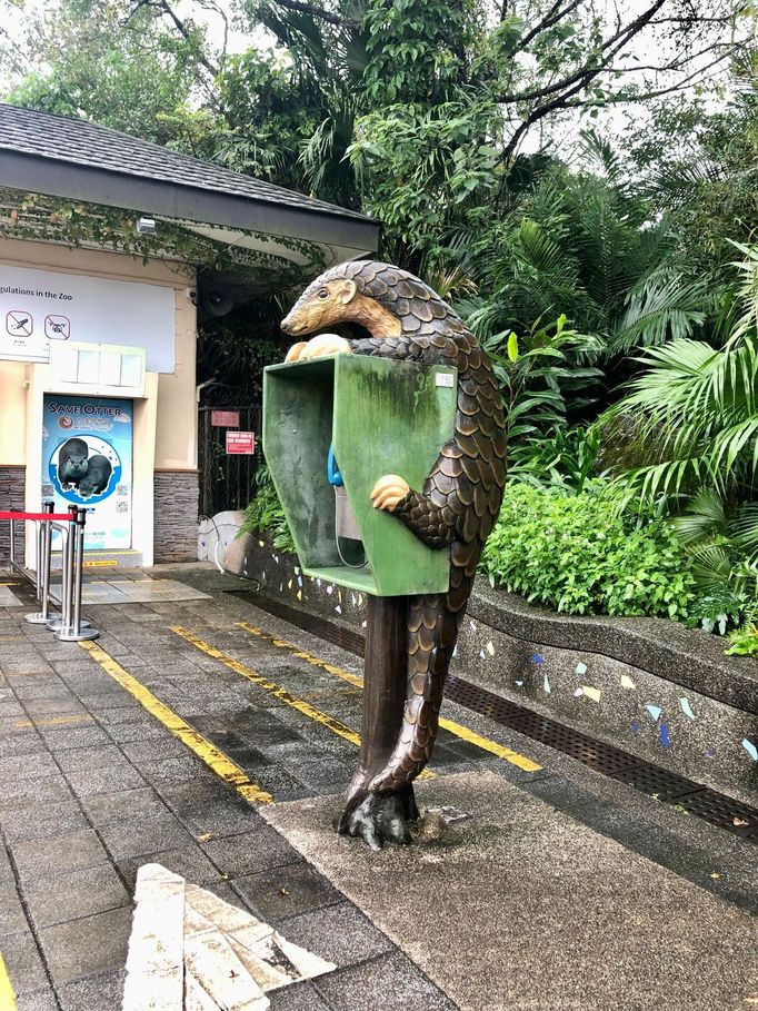 Luskouni v tchajwanské Taipei Zoo.