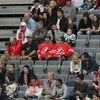 Slavia vs. Sparta, hokejové derby, extraliga - fanoušci