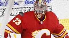NHL 2018/19, Calgary Flames, David Rittich