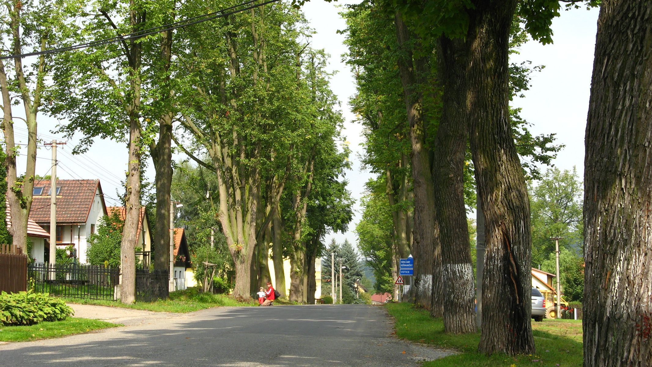 Alej roku 2014 - Smilkovská alej