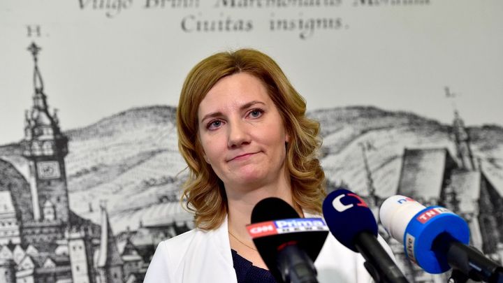 Piráti do koalice v Brně nevstoupí, názor změnili po policejní razii; Zdroj foto: ČTK