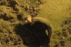 Video: Muž v Praze ukradl mobilní toaletu. Hledá ho policie, žádá o pomoc veřejnost