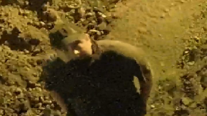 Video: Muž v Praze ukradl mobilní toaletu. Hledá ho policie, žádá o pomoc veřejnost; Zdroj foto: Policie ČR