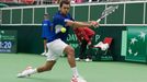 DC, Česko-Francie: Jo-Wilfried Tsonga