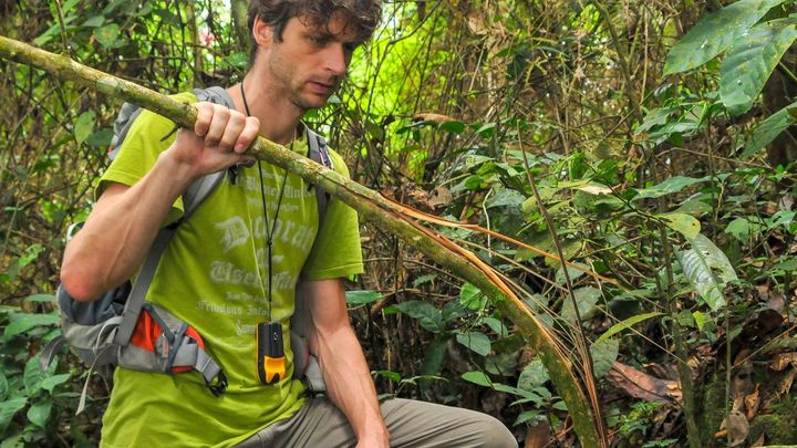Africká divočina zaniká. Těžaři zničili lesy, z gorily je pochoutka, varuje zoolog