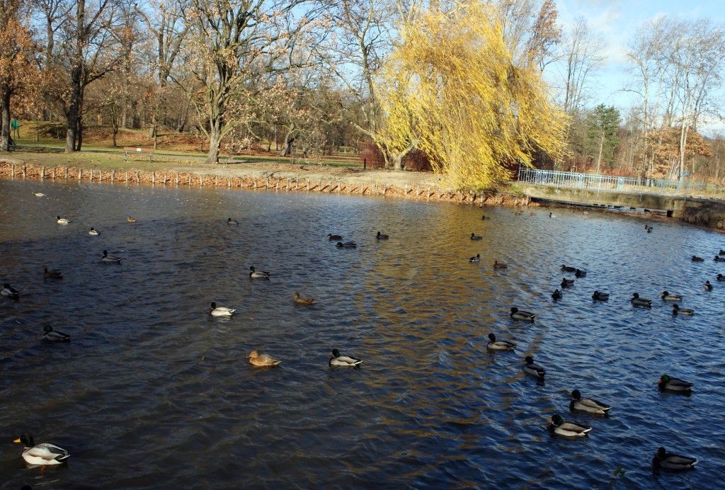 Stromovka - Cesta za poznáním