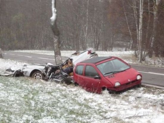 Auto narazilo při nehodě do stromu
