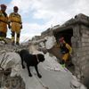 Na Haiti se sjeli záchranáři z celého světa