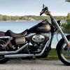 Harley 5
