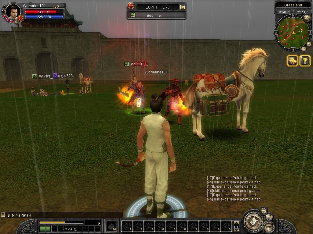 Silkroad Online