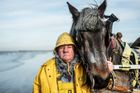 Ošlehaná tvář osmasedmdesátiletého Mariuse Dugardeina. Krevety loví tradičním způsobem za pomoci svého brabantského tažného koně.