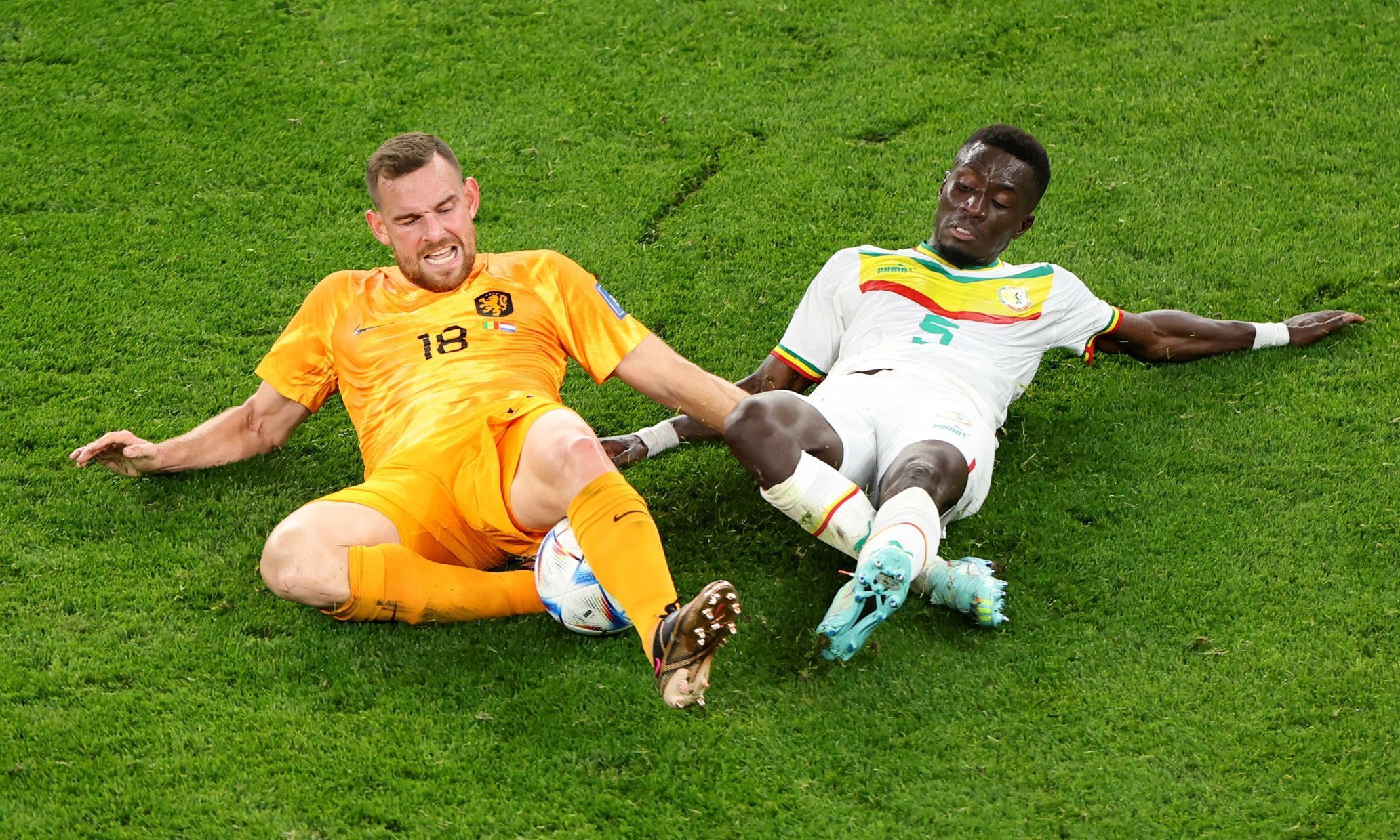 Vincent Janssen a Gana v zápase MS 2022 Senegal - Nizozemsko